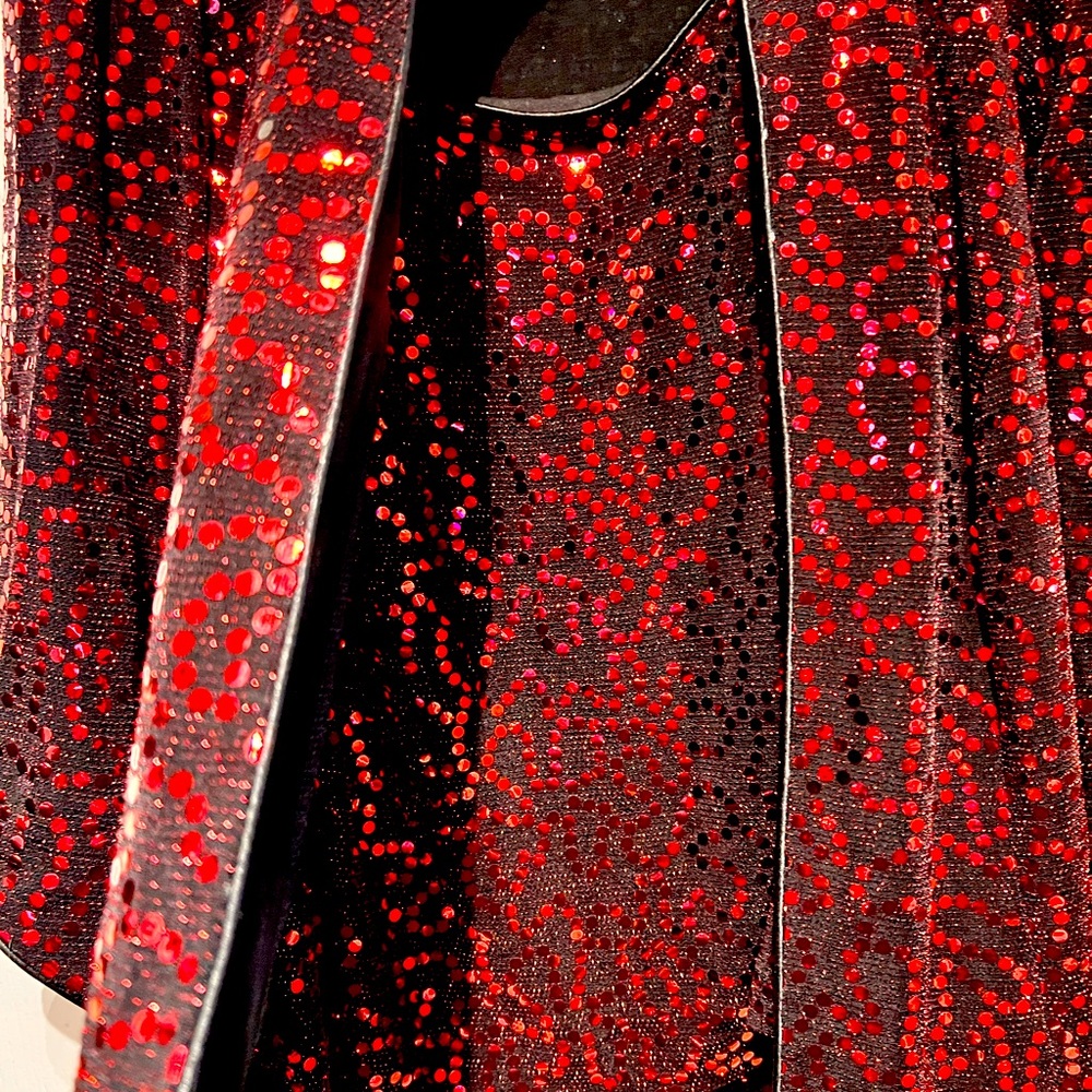 Alex Evenings 2 pc Sequin